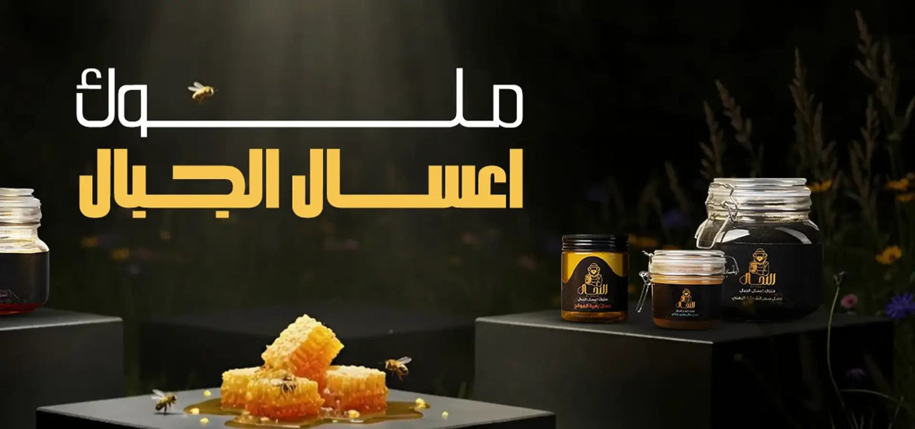 <p>ملوك <em>أعسال</em> الجبال</p>